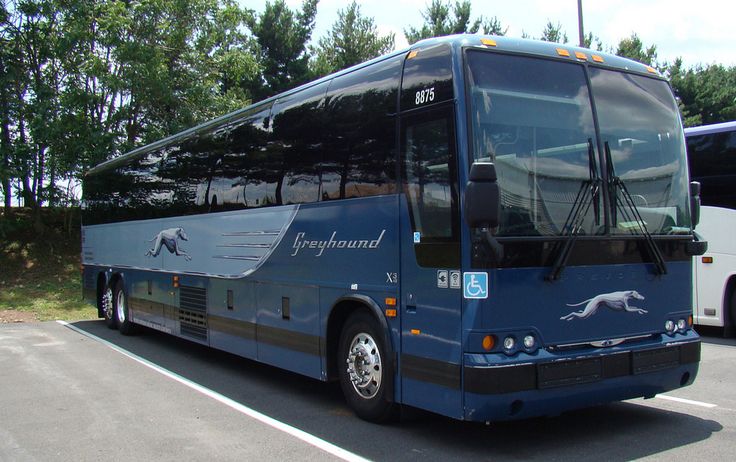greyhound bus